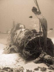Corsair, ~110' deep, south shore Oahu Hawaii. by Glenn Poulain 
